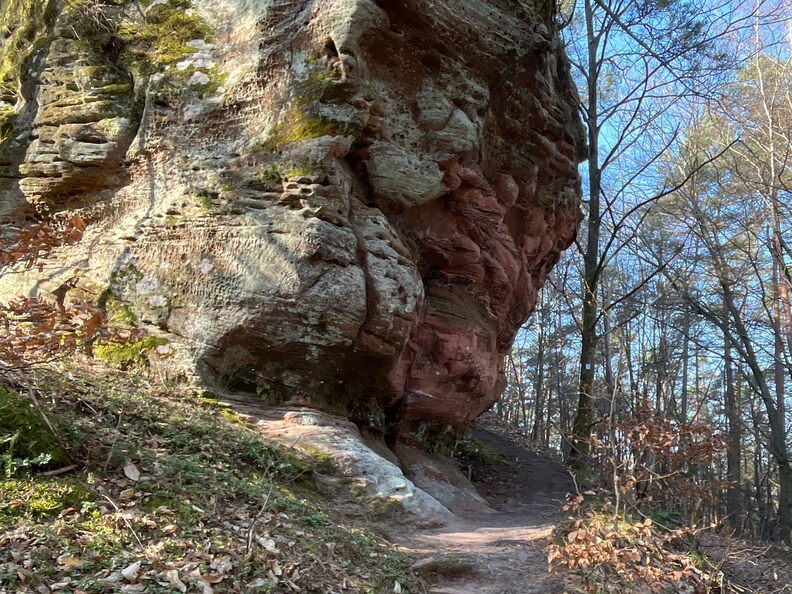 23-03-01 12-31-53 4509